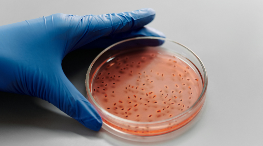 Daftar Ilmu Pengetahuan Dan Fakta Umum Penambah Wawasan